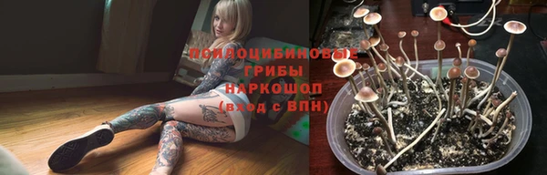 соль ск Белоозёрский