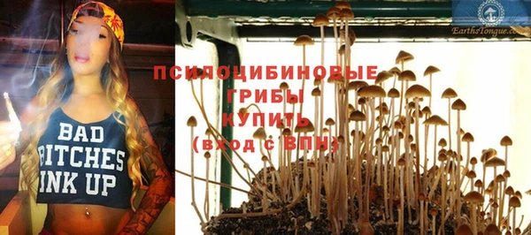 кокс Белокуриха