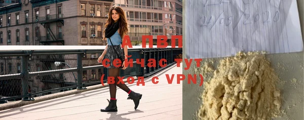 кокс Белокуриха
