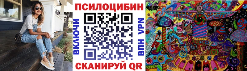 Купить закладки  Давлеканово  Псилоцибиновые грибы GOLDEN TEACHER 